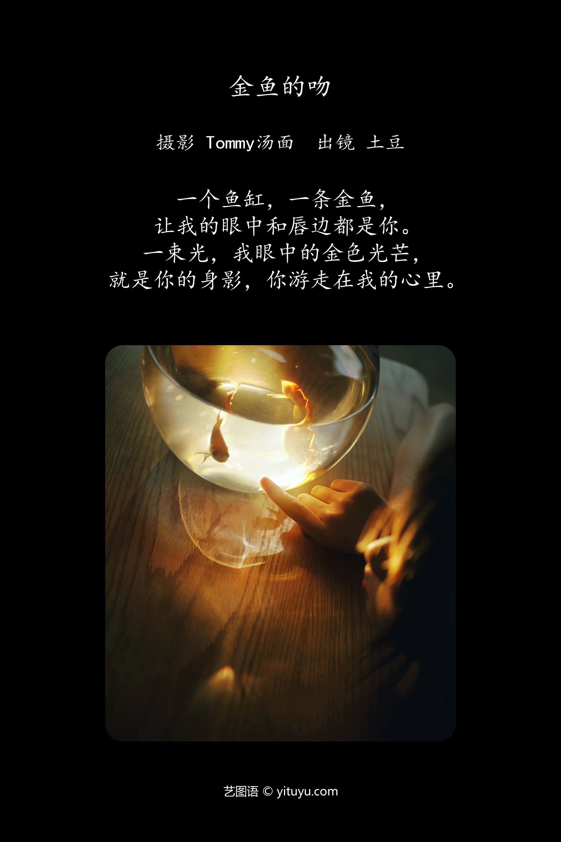 [YITUYU艺图语]2024.11.30 金鱼的吻 土豆 1